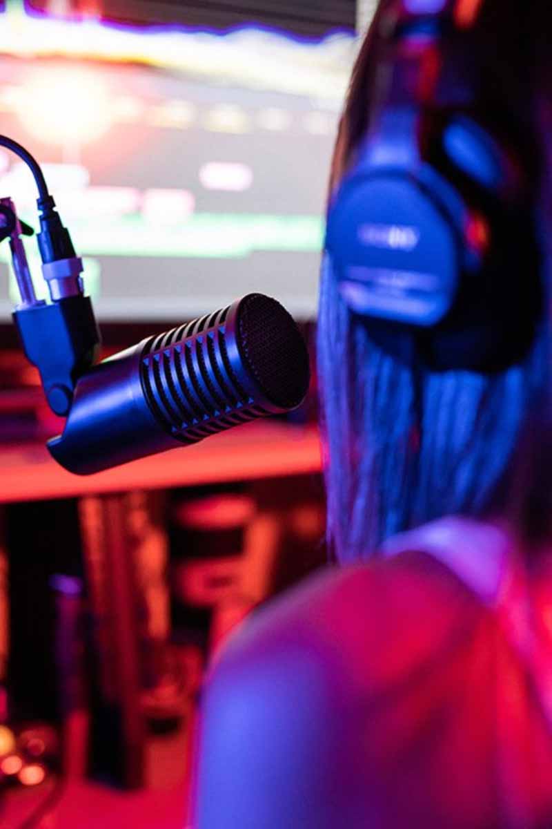 sE Electronics DynaCaster Podcaster microfoon