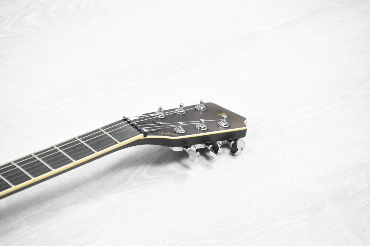 Stagg SVY NASHDLX FSB Silveray Nash Deluxe Model Elektrische gitaar (5451289002148)