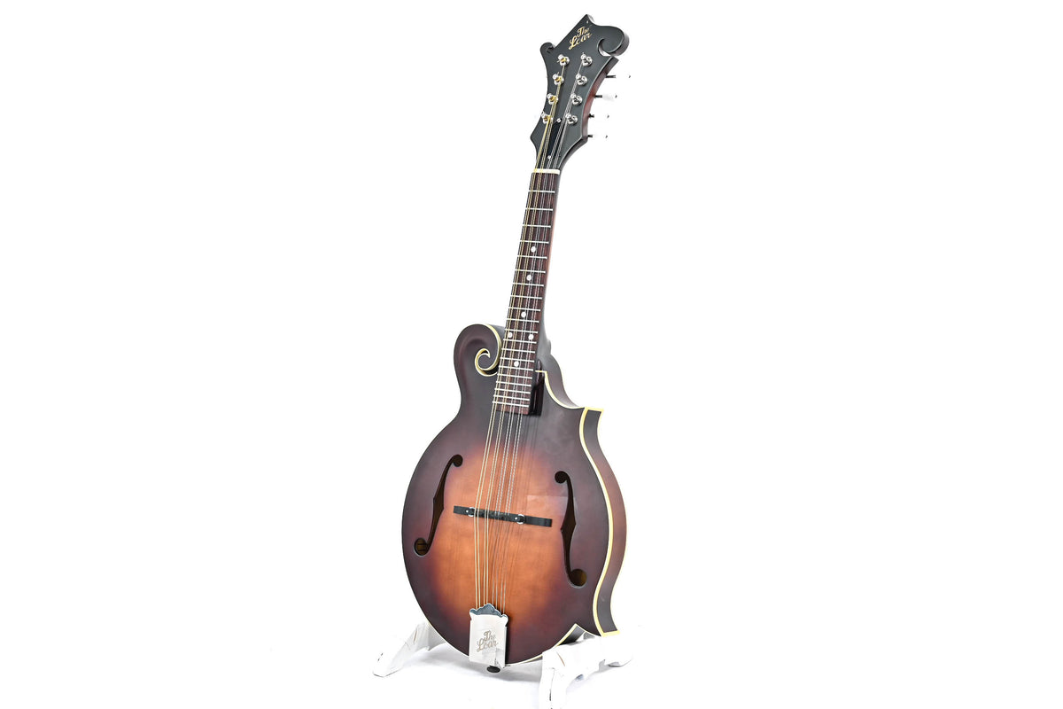 The Loar LM-310-F-BRB Occasion