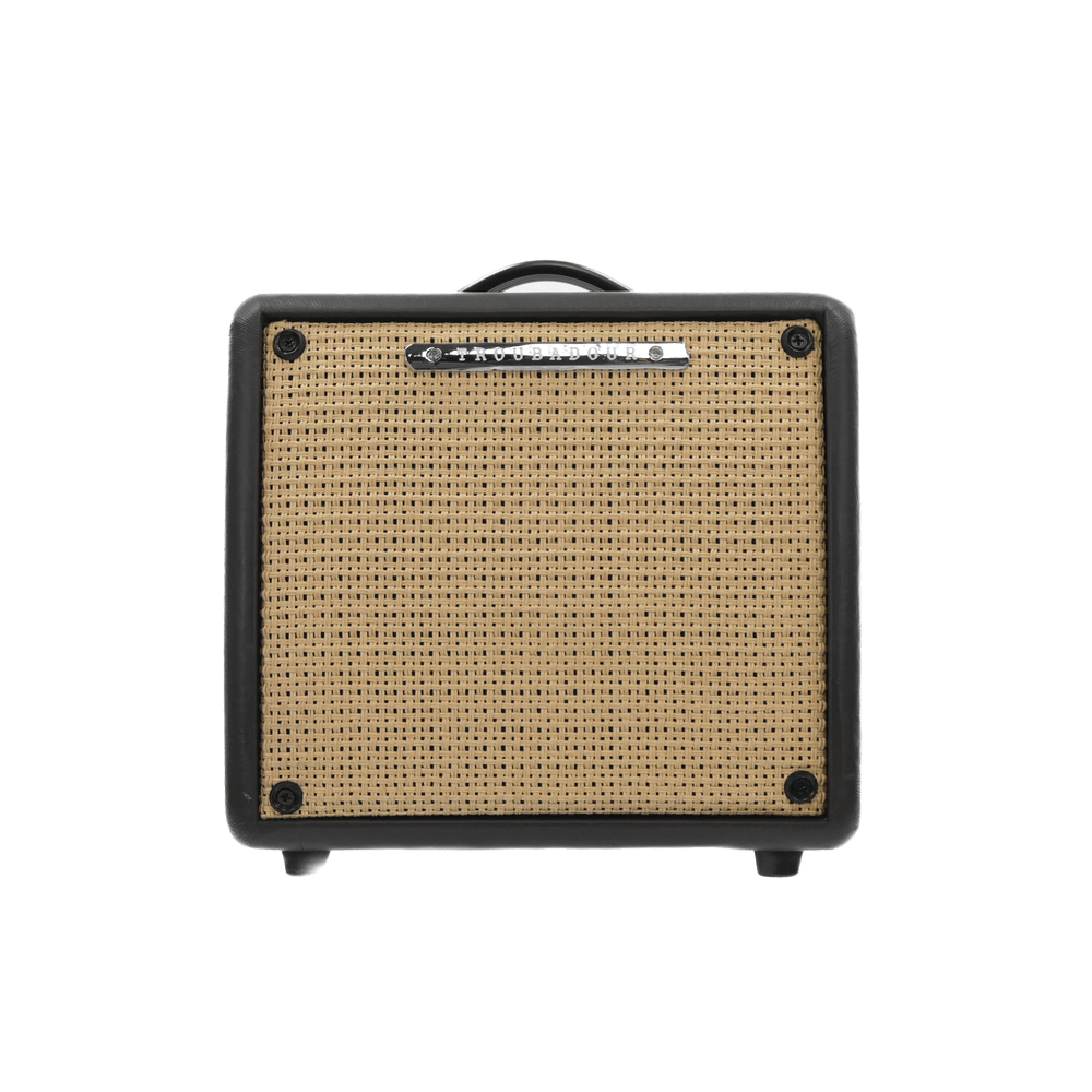 Ibanez Troubadoer 18W