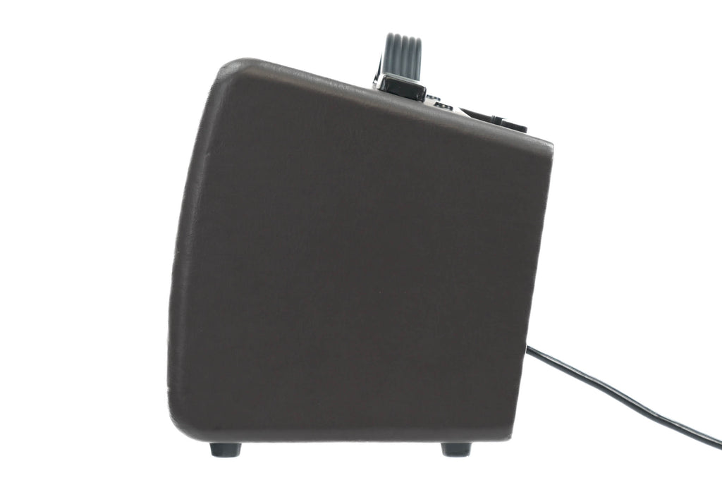 Ibanez Troubadoer 18W