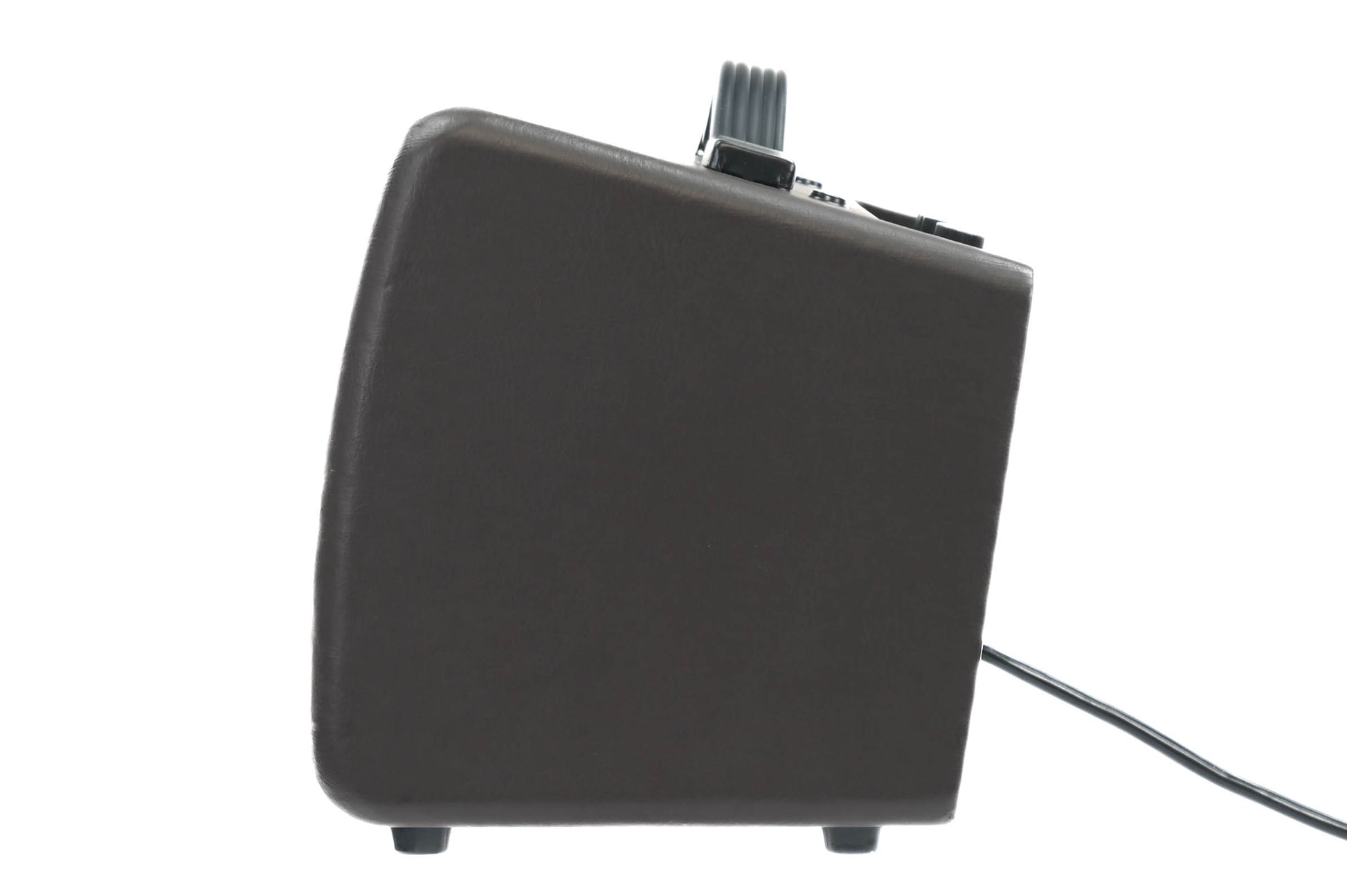 Ibanez Troubadoer 18W