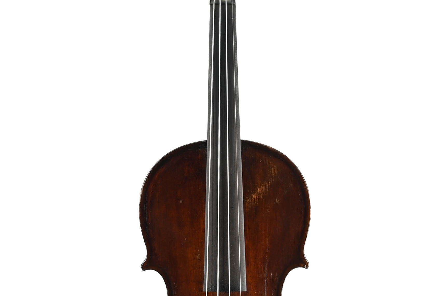 Viool 4/4 Eendelig Achterblad