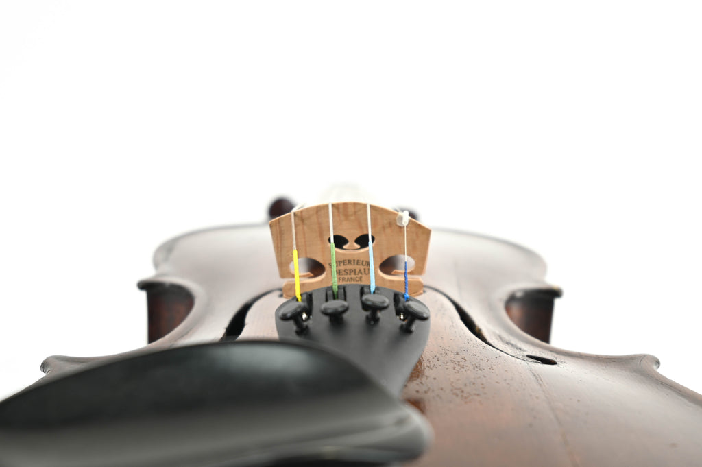 Viool 4/4 Eendelig Achterblad