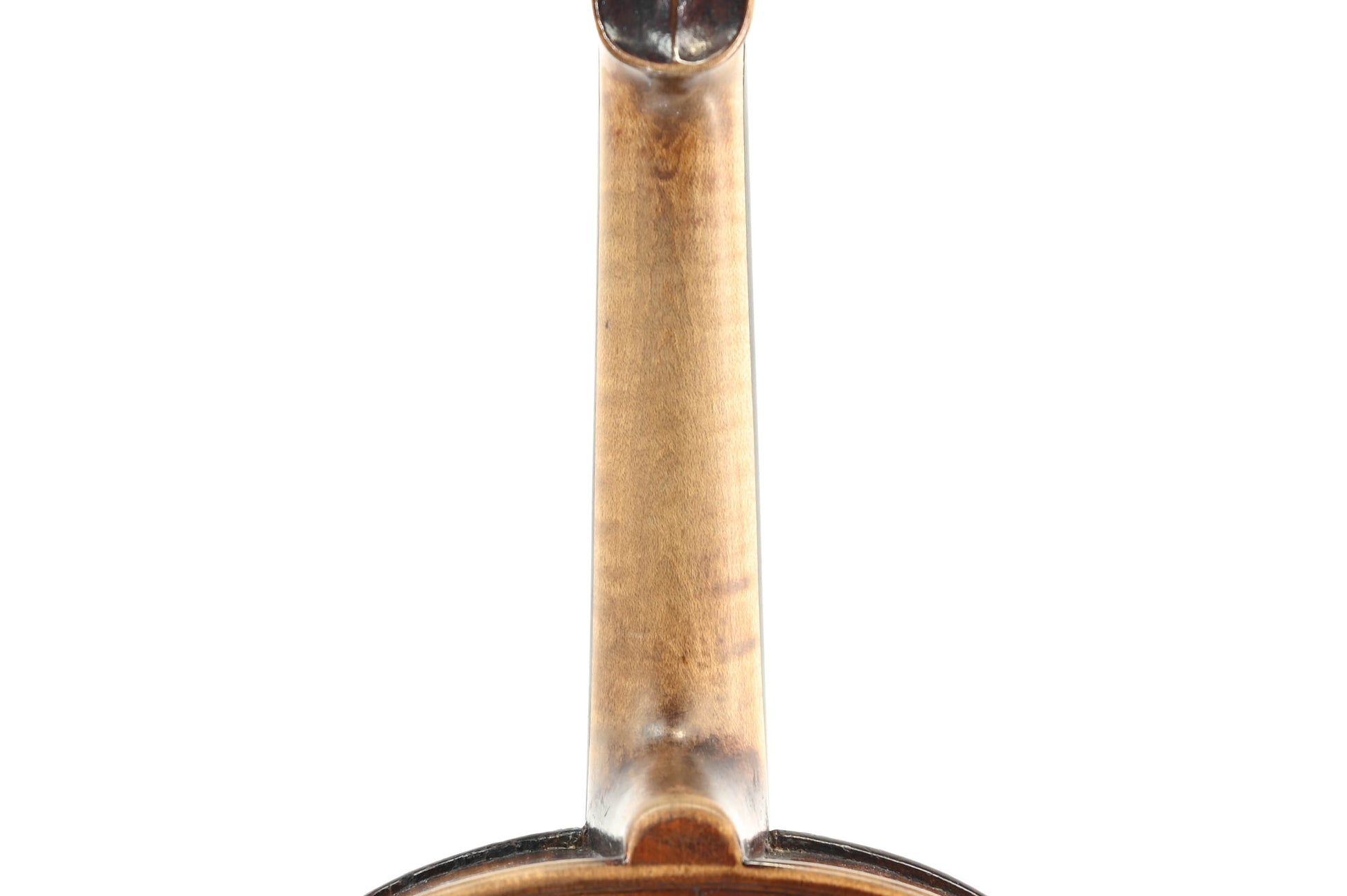 Viool 4/4 Eendelig Achterblad