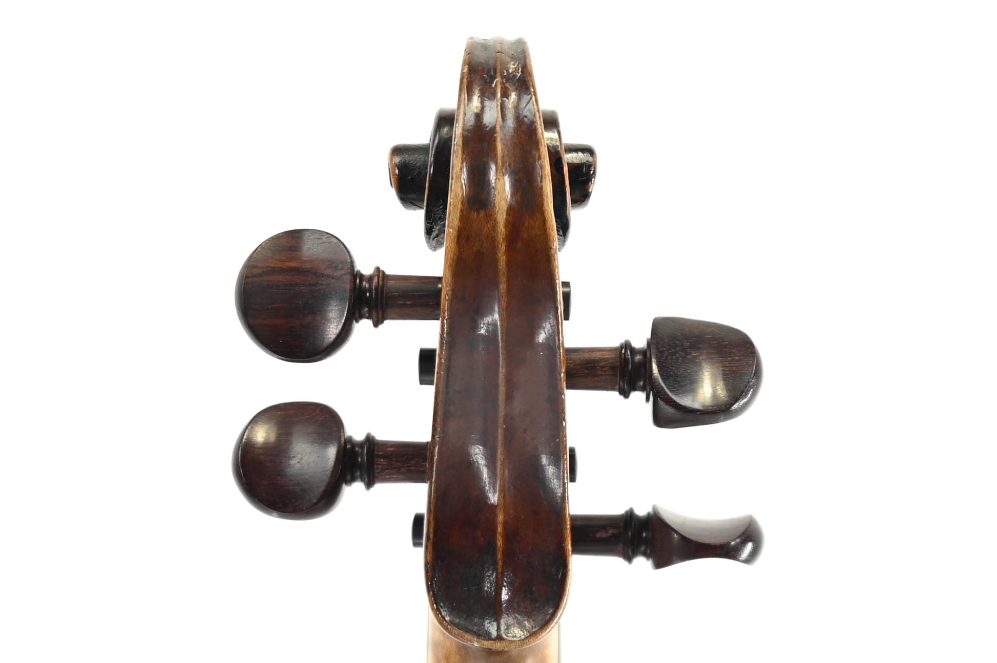 Viool 4/4 Eendelig Achterblad