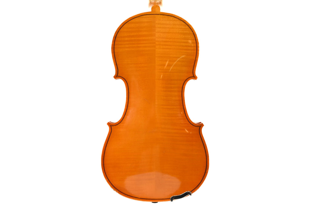 Viool 4/4 set "Diletante"