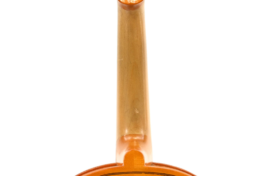 Viool 4/4 set "Diletante"