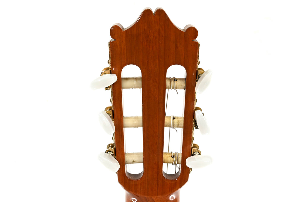 Ibanez GA300S Andorra Recital Classical Guitar