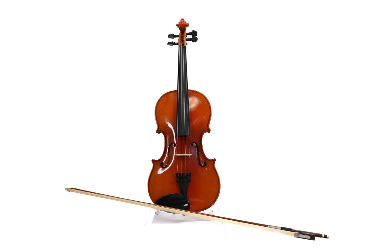 Viool 4/4 &quot;Dilitanate&quot; Set Occasion