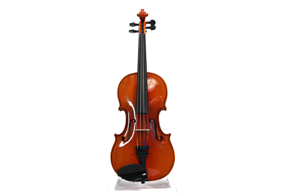 Viool 4/4 ''Dilitanate '' Set