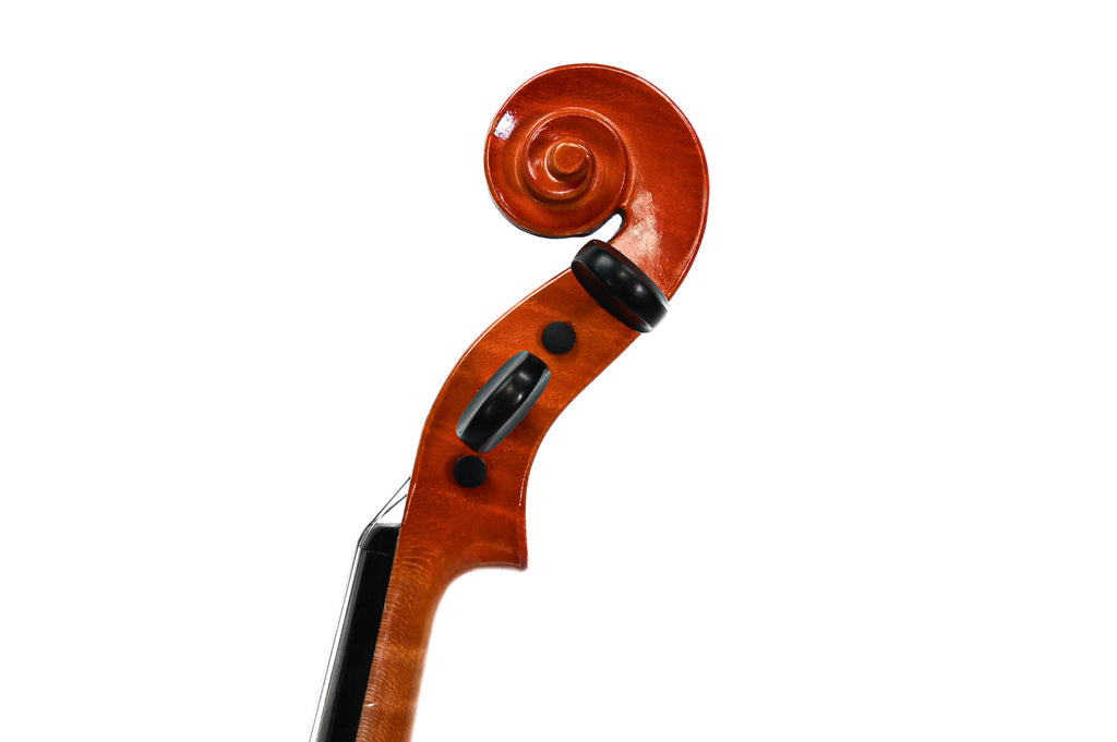 Viool 4/4 ''Dilitanate '' Set