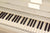 Rippen E-123 Wit Hoogglans Piano