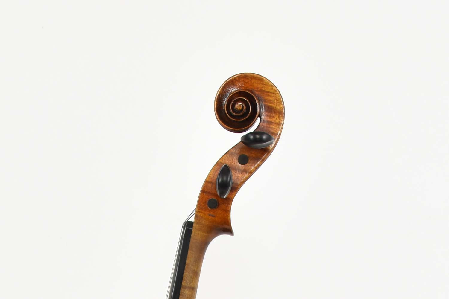 Viool 4/4 Gebruder Wolff 1910